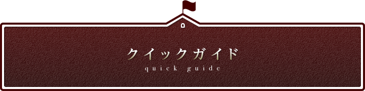 クイックガイド