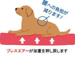 腰への負担が減りますよ