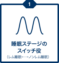睡眠ステージのスイッチ役
