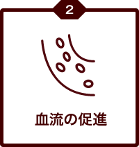 血流の促進