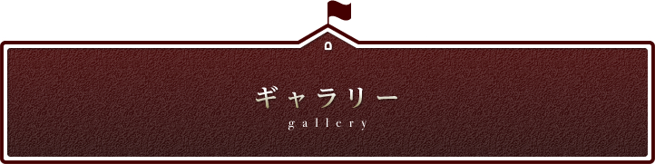 ギャラリー