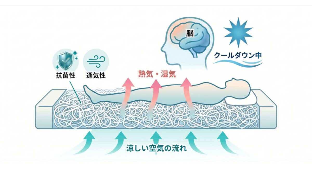 高い通気性と抗菌性を持つブレスエアー素材のマットレスが熱気や湿気を逃がし、睡眠中に脳をクールダウンさせる仕組みを説明する図解。