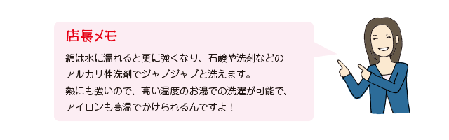 店長メモ　綿について