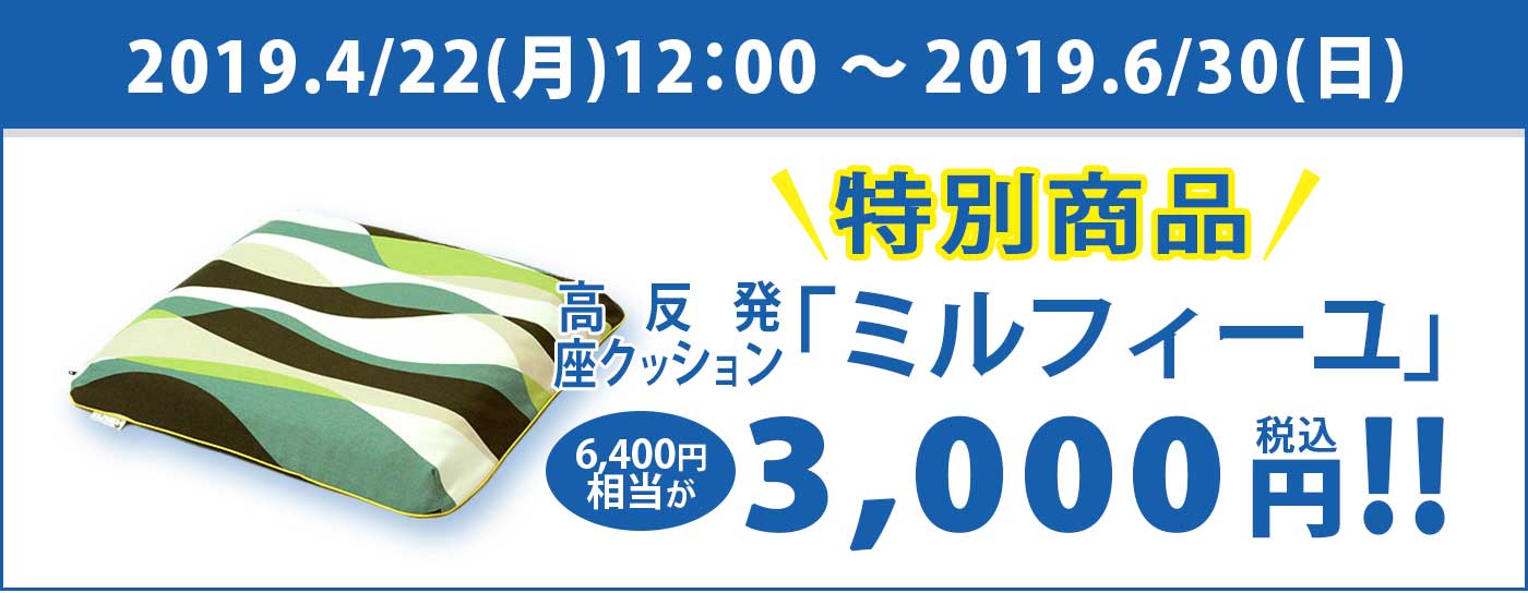 Éü³èº×ÆÃÊ̾¦ÉʹâȿȯºÂ¥¯¥Ã¥·¥ç¥ó¥ß¥ë¥Õ¥£¡¼¥æ6400±ßÁêÅö¤¬3000±ß