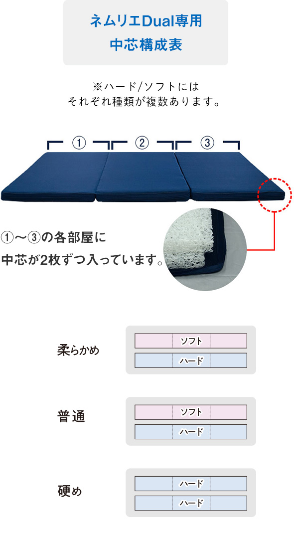 中芯構成図