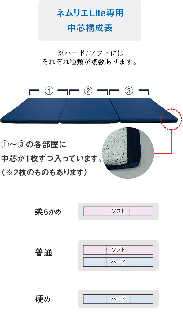 中芯構成図