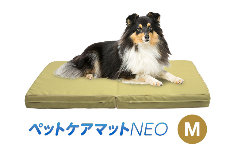 ペットケアマットNEO Mサイズ