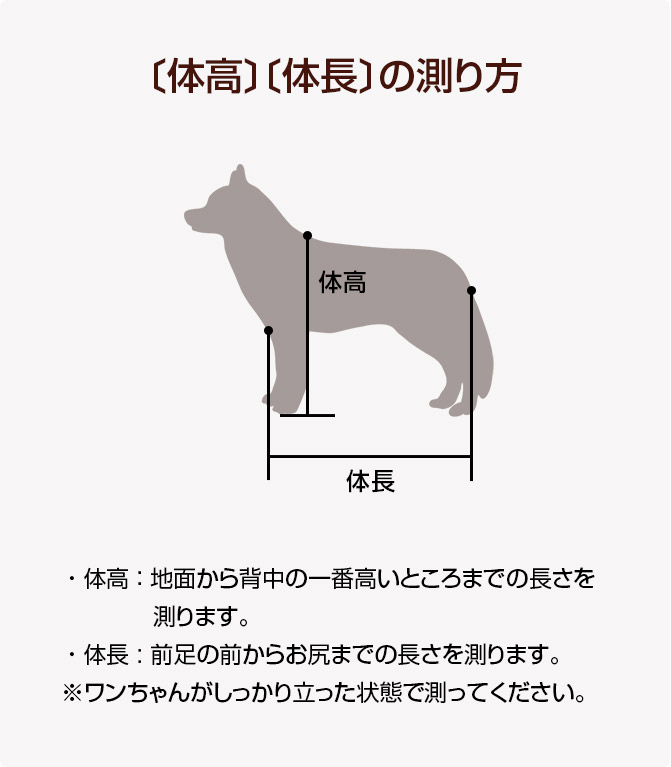 測り 犬 方 体高