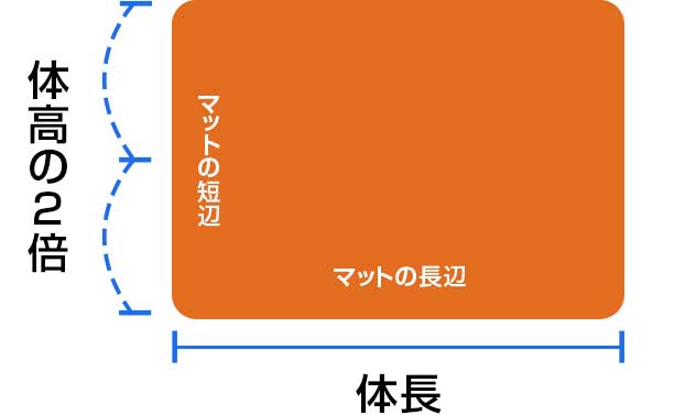 マットのサイズは体高の2倍