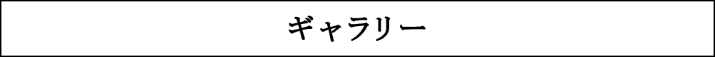 ギャラリー