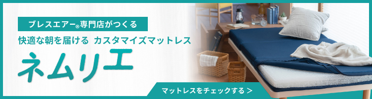 ネムリエについて
