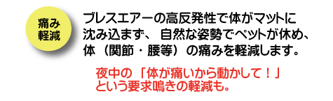 ブレスエアーは自然な体制を維持できます