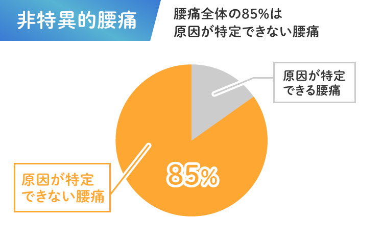 非特異的腰痛