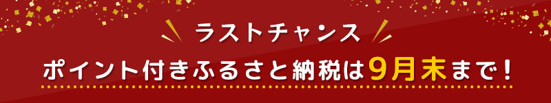 ポイント付きふるさと納税は9月末まで!