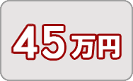 寄附金45万円