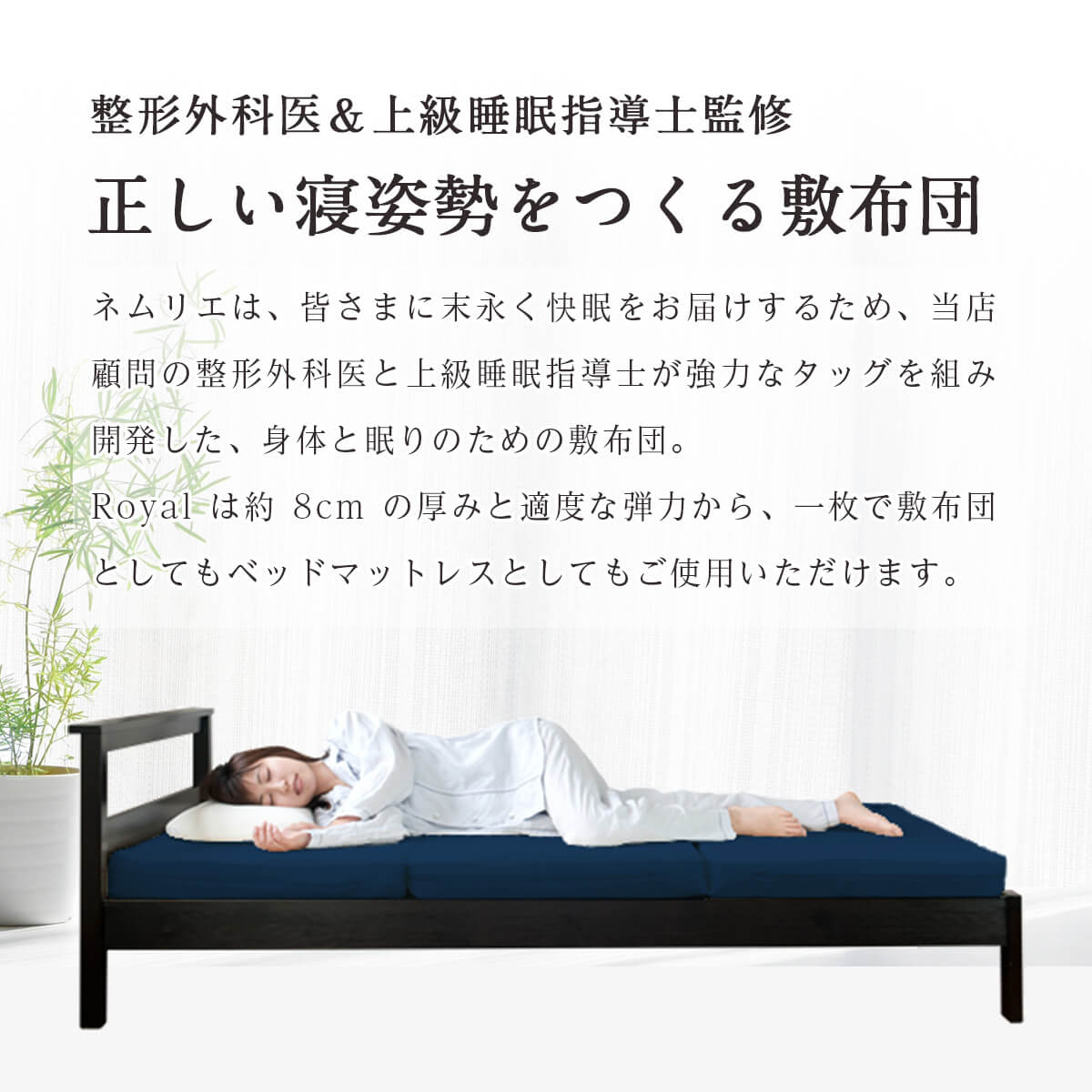 ふるさと納税限定Royal 説明
