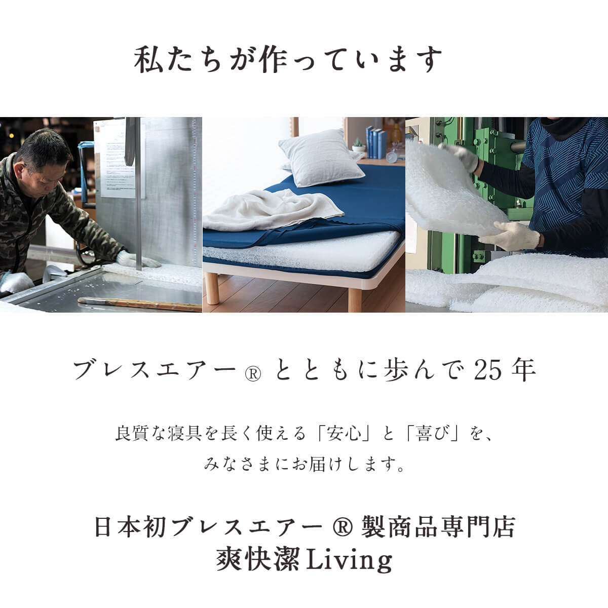 ふるさと納税限定Lite　専門店