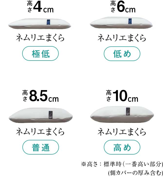 ラインナップ