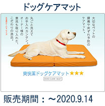 dogcaremat