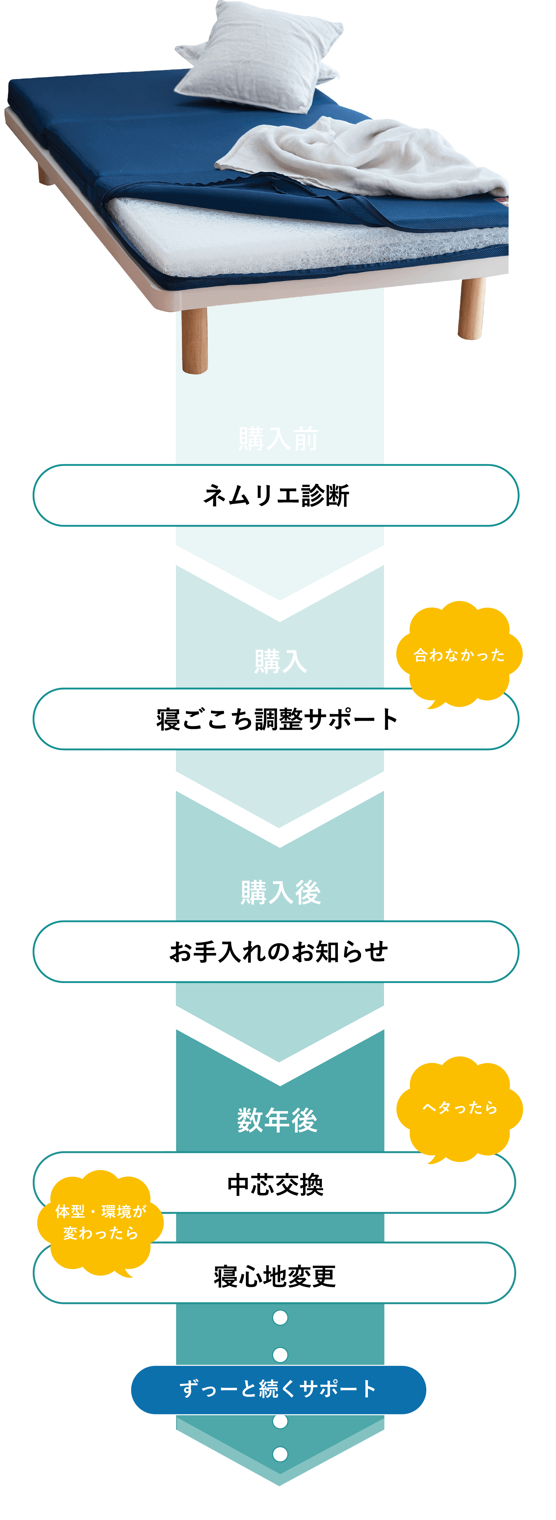 ずっと安心